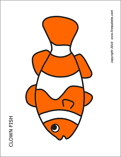 Printable Colored Clownfish