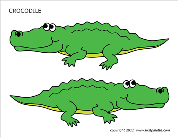 Crocodile | Free Printable Templates & Coloring Pages | FirstPalette.com