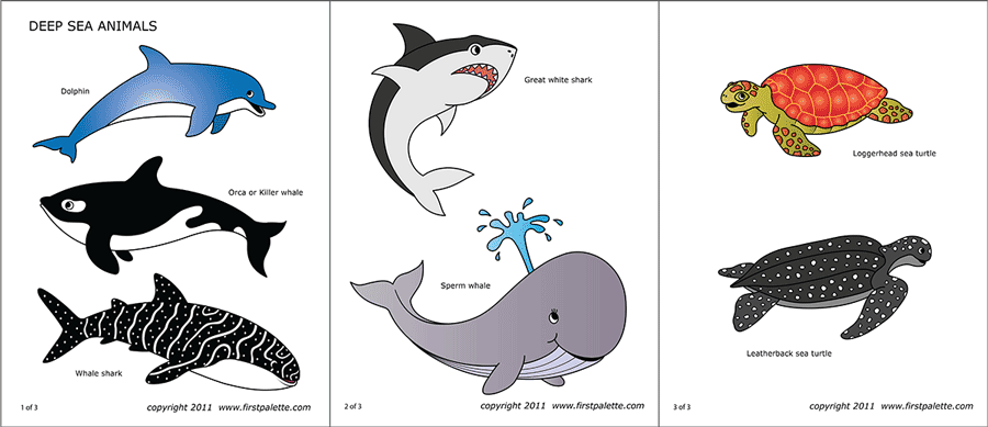 Sea Animals | Free Printable Templates & Coloring Pages | FirstPalette.com