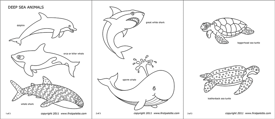 baby sea animal coloring pages