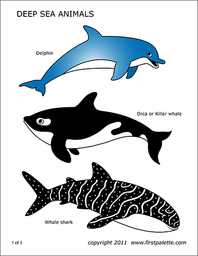 antarctic-polar-animals-free-printable-templates-coloring-pages