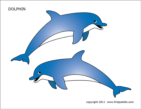 Printable Colored Dolphins