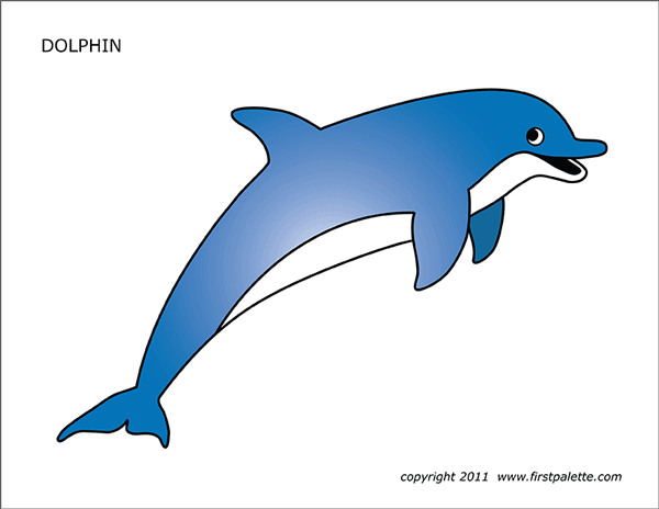 Printable Colored Large Dolphin