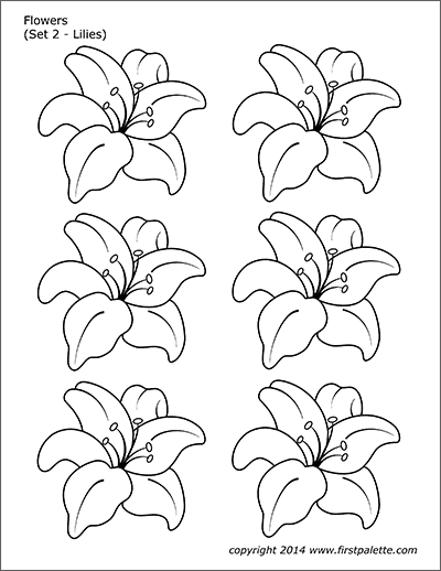 Printable Flower Set 2 - Lilies