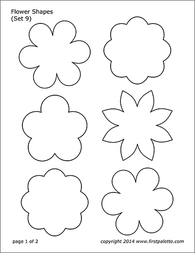 Flower Shapes