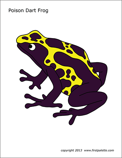 Printable Colored Posion Dart Frog