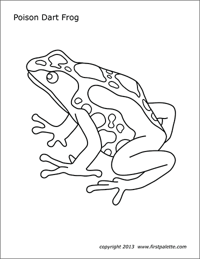 Poison Dart Frog Coloring Pages 9