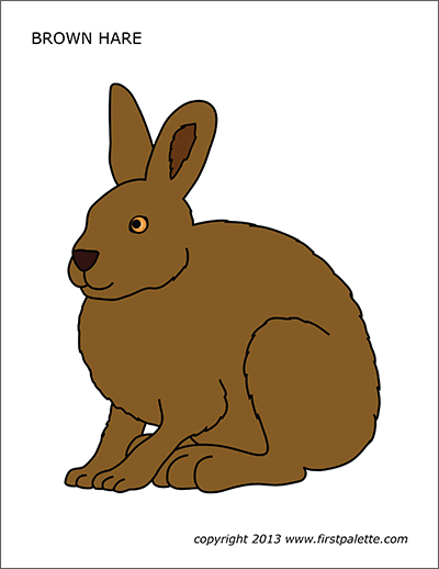 Download Hare | Free Printable Templates & Coloring Pages | FirstPalette.com