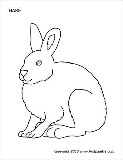 arctic hare coloring pages