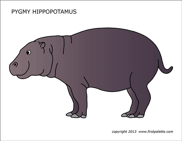 Printable Colored Pygmy Hippopotamus