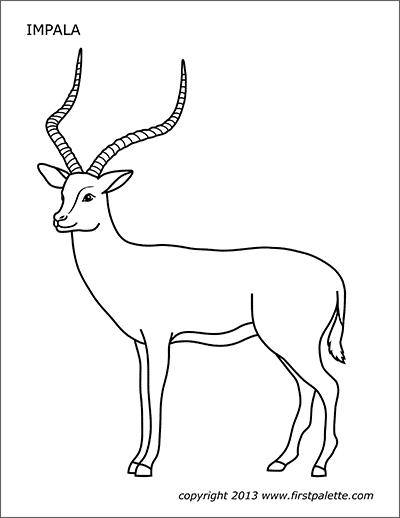 Impala | Free Printable Templates & Coloring Pages | FirstPalette.com