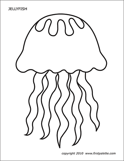 A sketch of a jelly fish with long tentacles, vector, color drawing or  illustration, Stock Vector, Vector And Low Budget Royalty Free Image. Pic.  ESY-056975386 | agefotostock