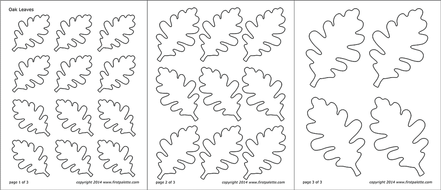 leaf oak printable leaves template templates coloring drawing maple shapes printables types firstpalette oval paper heart paintingvalley