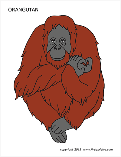 orangutan-free-printable-templates-coloring-pages-firstpalette