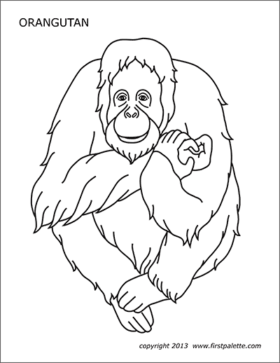 Printable Orangutan