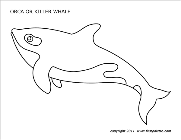 Printable Orca or Killer Whale Coloring Page