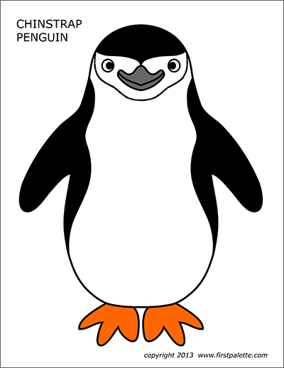 Printable Colored Chinstrap Penguin