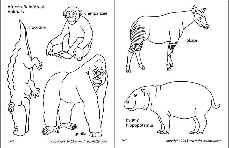 African Jungle or Rainforest Animals | Free Printable Templates & Coloring  Pages 