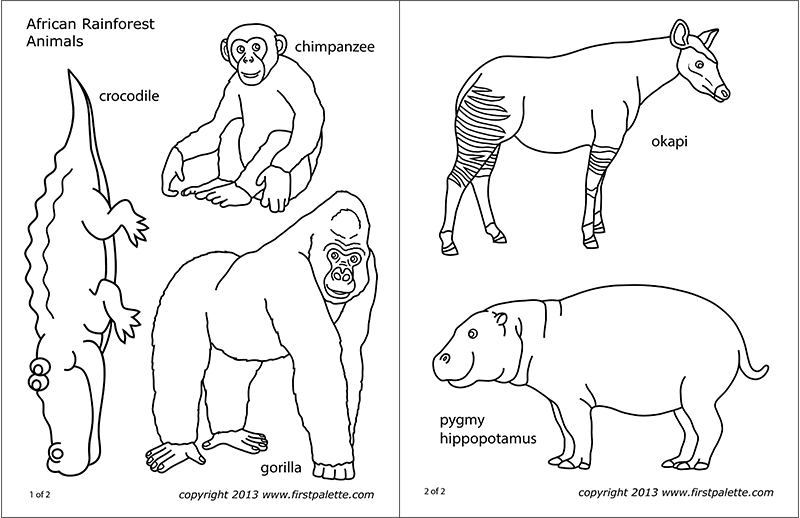 African Jungle Or Rainforest Animals Free Printable Templates