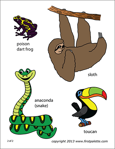 Printable Amazon Rainforest Animals