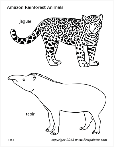 Tapir | Free Printable Templates & Coloring Pages ...