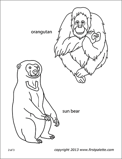 Download 122+ Mammals Bears Sun Bears Coloring Pages PNG PDF File