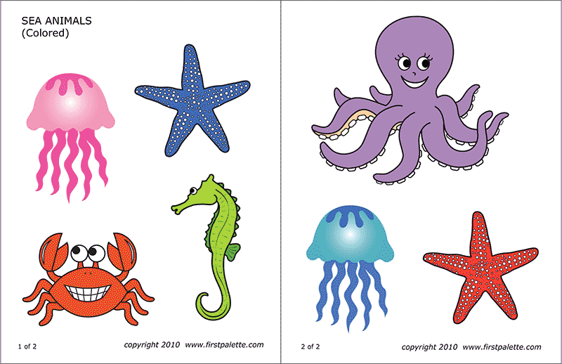 Printable Colored Sea Invertebrates