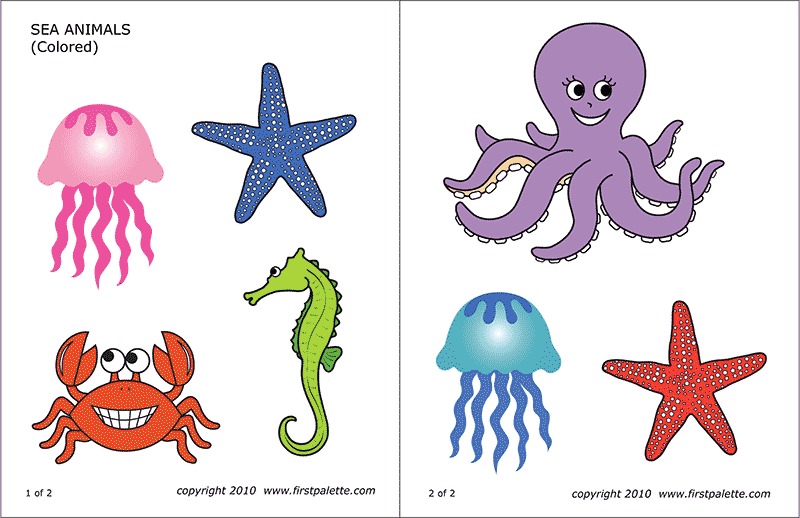 Under The Sea Worksheets For Preschool Kids Sea Animals Preschool 