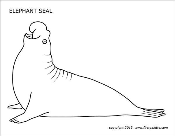 Elephant Seal | Free Printable Templates & Coloring Pages ...