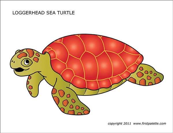 Printable Colored Loggerhead Sea Turtle