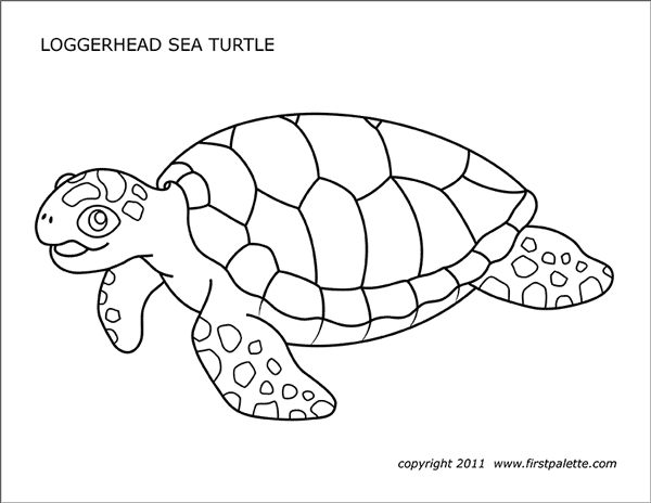 Sea Turtles | Free Printable Templates & Coloring Pages | FirstPalette.com