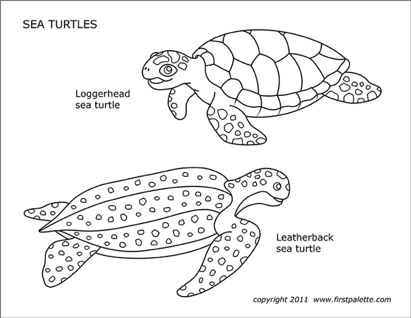 sea turtles free printable templates coloring pages firstpalette com