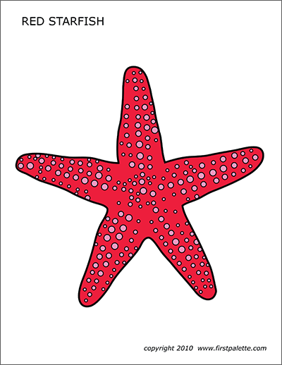 Starfish Outline Template