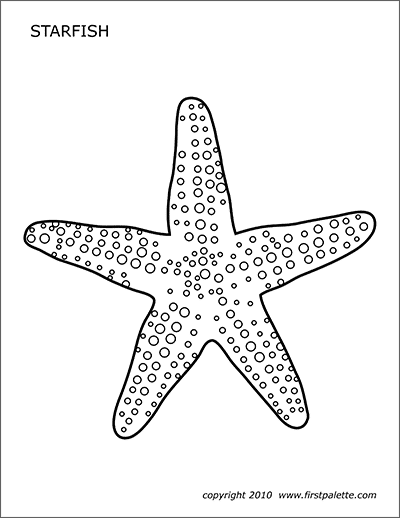 starfish template printable drawing coloring octopus templates firstpalette paintingvalley
