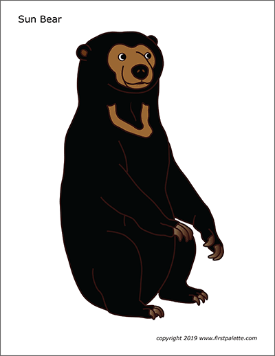 Sun Bear | Free Printable Templates & Coloring Pages | FirstPalette.com