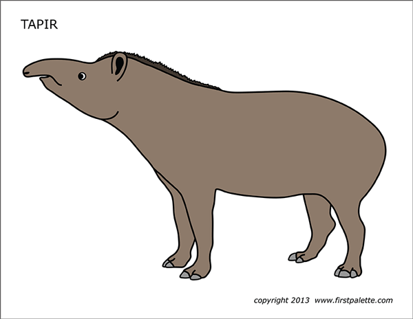 Printable Colored Tapir