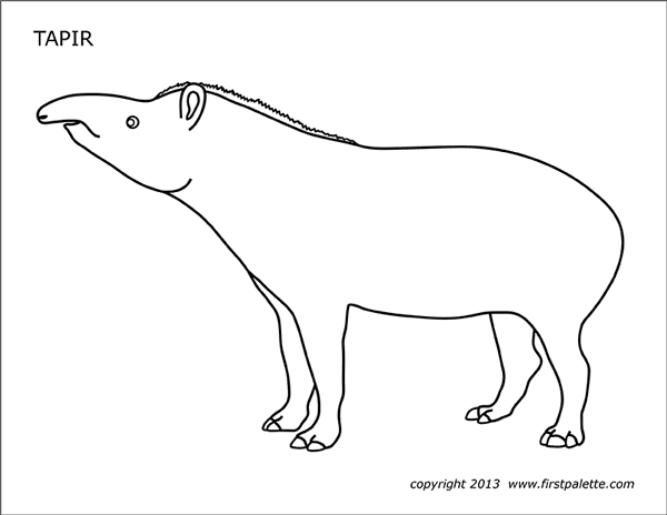 Tapir | Free Printable Templates & Coloring Pages | FirstPalette.com