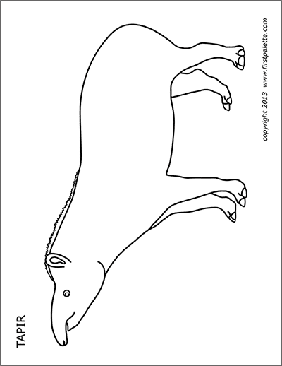 Printable Tapir