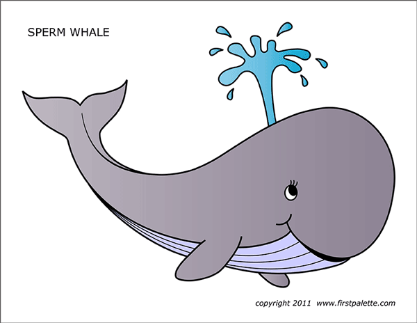 Whale Pictures To Color