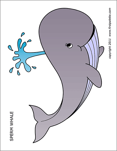 Printable Whale