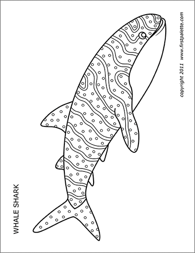 whale printable template