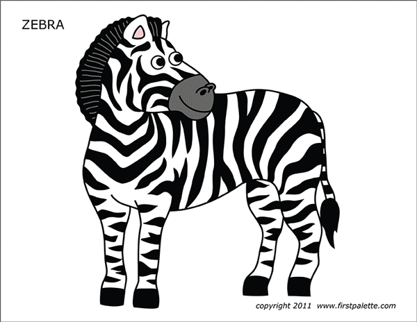 Zebra | Free Printable Templates & Coloring Pages | FirstPalette.com